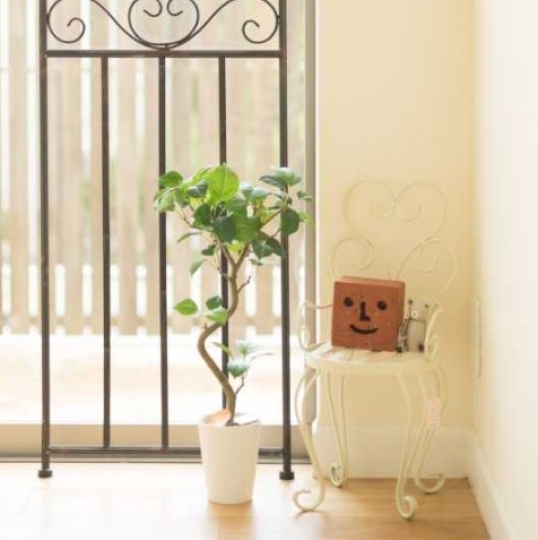 北欧風な玄関・廊下・階段