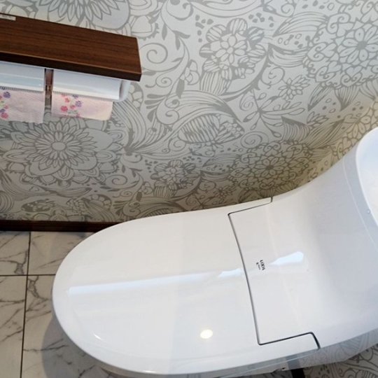 オーソドックスなトイレ